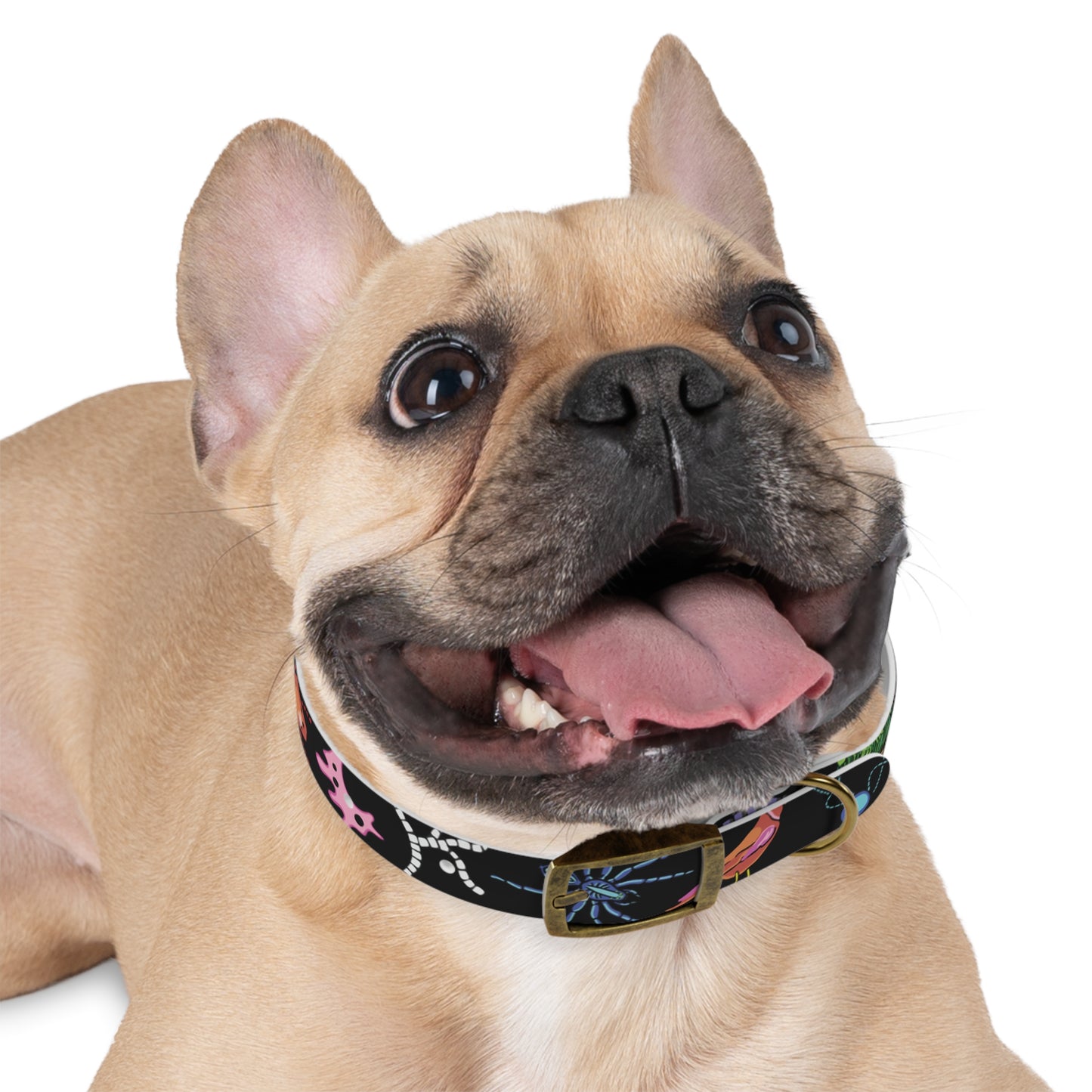 Honeybutter Living Soil Dog Collar