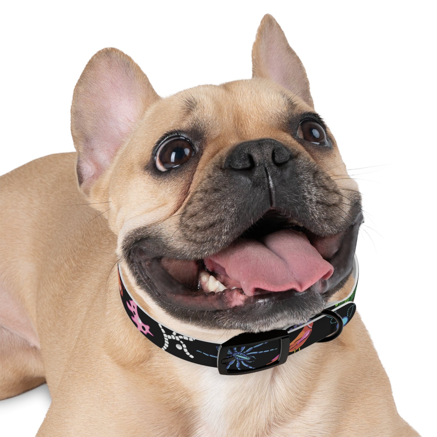 Honeybutter Living Soil Dog Collar