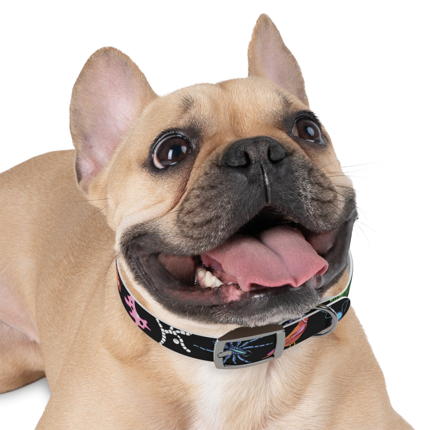 Honeybutter Living Soil Dog Collar