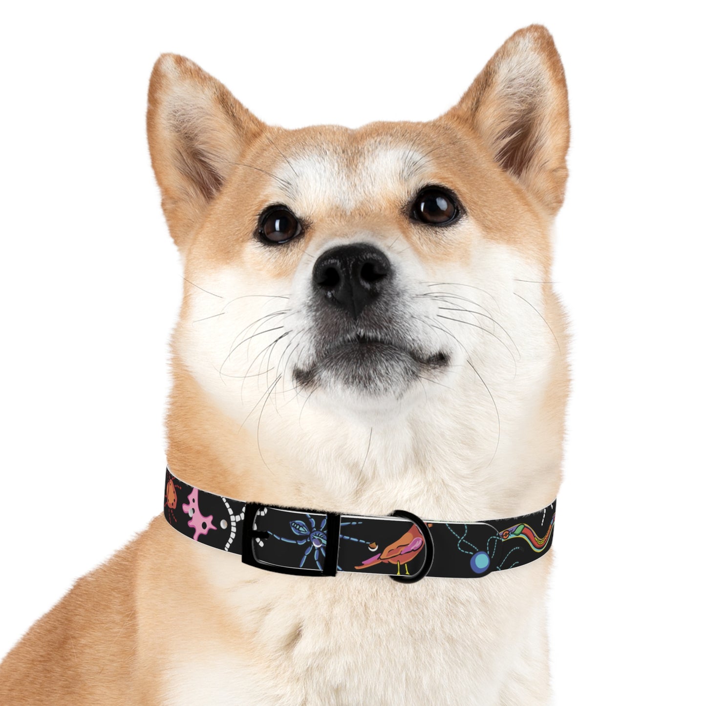 Honeybutter Living Soil Dog Collar